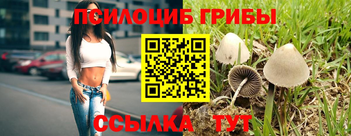 Псилоцибиновые грибы прущие грибы Назрань