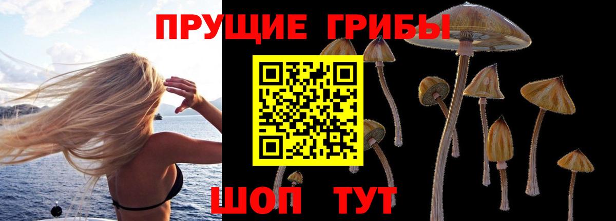 Галлюциногенные грибы ЛСД  Вход с VPN  где купить наркотик  Псилоцибиновые грибы GOLDEN TEACHER  Назрань 