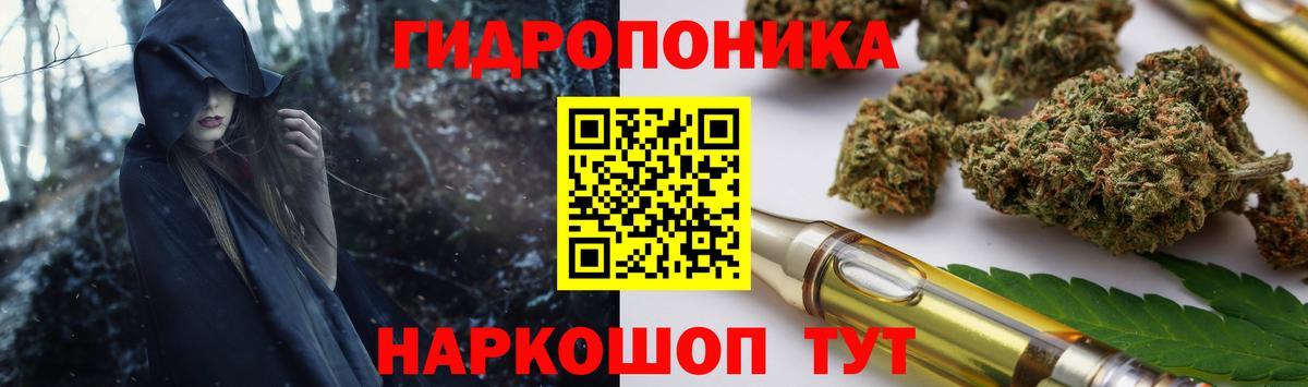 МАРИХУАНА сатива Назрань